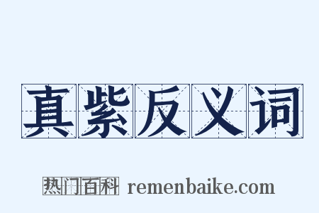 真紫反义词是什么意思的图片